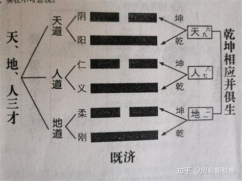 天地人三才|张其金解读“天地人”三才之道：共同构成了《易经》的核心思想